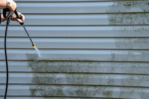 Best Same-Day Junk Removal Services  in Woodstock, VA